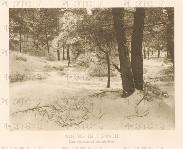 Winter in 't Bosch, Forest view with snow, page, photomechanical print, photographer: Adriaan Boer,