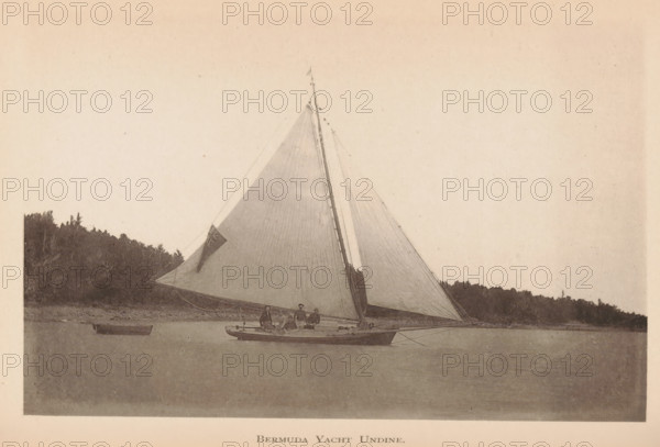 Bermuda yacht Undine, page, photomechanical print, photographer: James H. Stark, Bermuda, cliché
