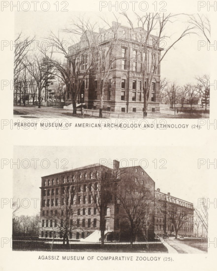 Peabody Museum of American Archeology and ethnology, Agassiz Museum of Comparative Zoology, page,