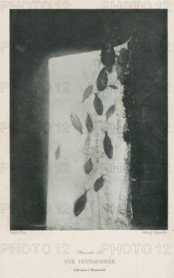 Vue Instantanée, Pisces, page, photomechanical print, inscription: 'Librairie C. Reinwald', number: