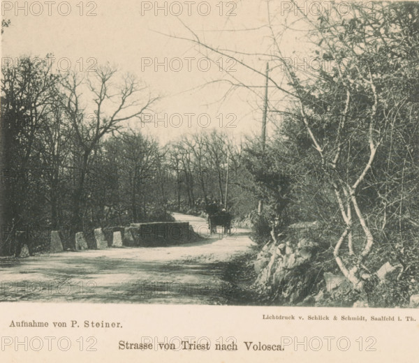 View of a horse-drawn cart on a path, Strasse von Triest nach Volosca, page, photomechanical print,