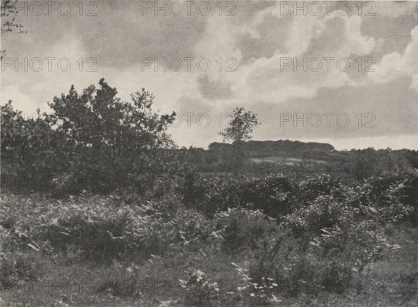 Breton landscape, Lande Bretonne, page, photomechanical print, photographer: Constant Puyo,