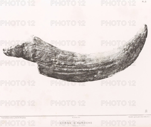 Aurochs horn, CORNE D'AUROCHS 1, 2 nature, page, photomechanical print, monogram: 'AB', number: 'Pl