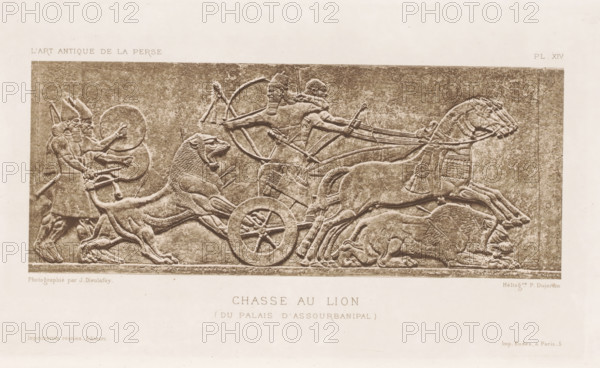 Relief of a lion hunt at the palace of Assurbanipal in Babylon, Chasse au Lion (du Palais