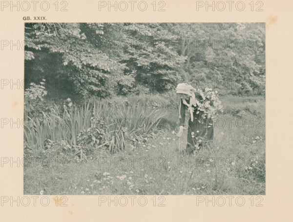 Woman picking flowers in a meadow, page, photomechanical print, inscription: 'Summer landscape by