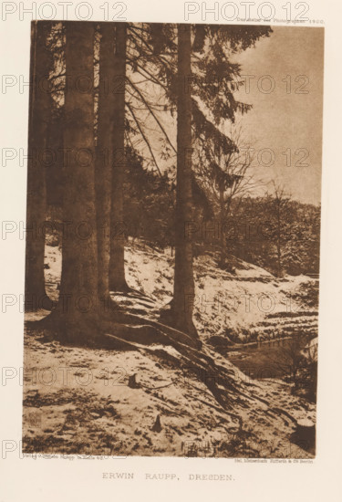 Winter landscape with trees, page, photomechanical print, inscription: 'Das Atelier des