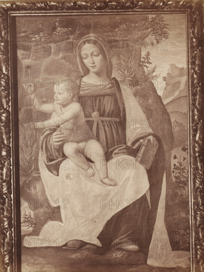 Photo reproduction of the fresco Madonna del Garofano by Bernardino Luini in the Certosa di Pavia,