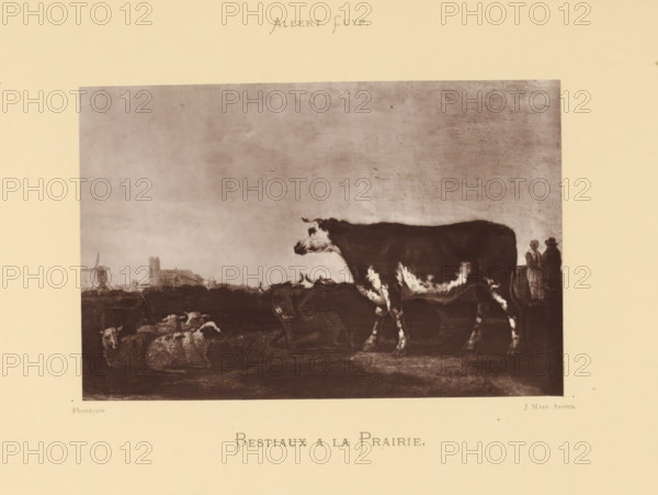 Bestiaux a la Prairie, Reproduction of a painting of cows and sheep by Aelbert Cuyp, reproduction,