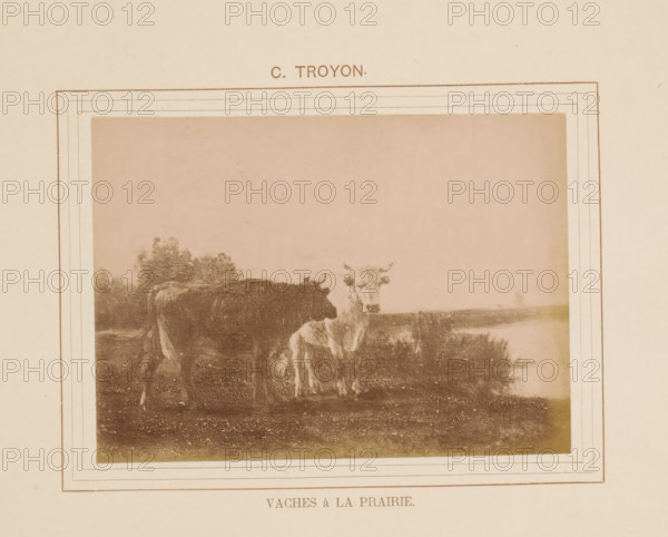 Vaches à la prairie, Photo reproduction of Vaches à la prairie by Constant Troyon, photograph,