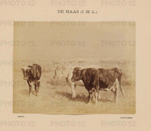 De Haas (J.-H.-L.), Photo reproduction of Bestiaux au pâturage by Johannes Hubertus Leonardus de