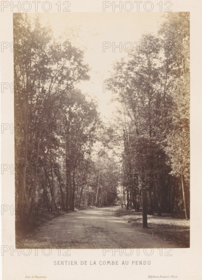 Walking path in the Bois de Vincennes, Sentier de la combe au pendu, Bois de Vincennes, photograph,
