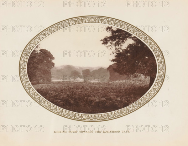Looking down towards the Robinhood Gate, View of Richmond Park, page, photomechanical print,