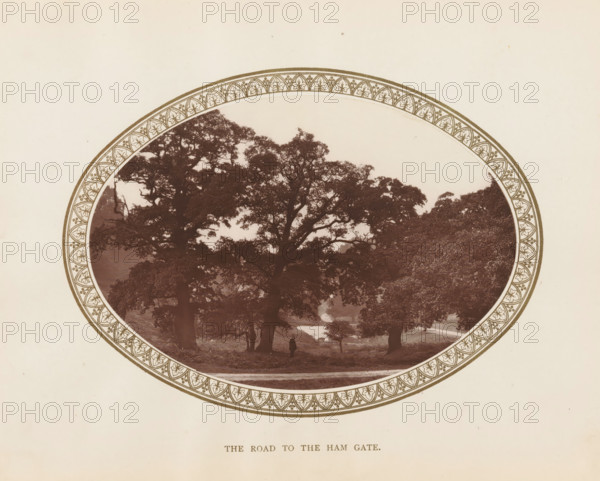 View of a road and trees in Richmond Park, The road to the Ham Gate, page, photomechanical print,