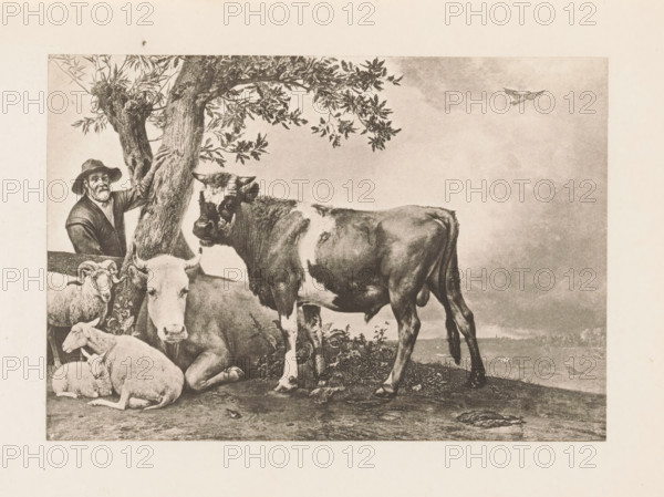Photo reproduction of the painting The Bull, reproduction, page, photomechanical print, title: