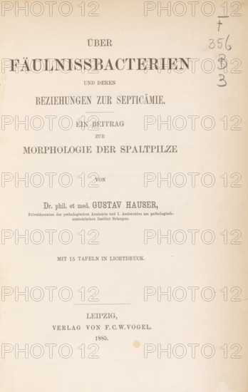 Other Fäulnissbacterien und deren Beziehungen zur Septicämie and Beitrag zur Morphologie der