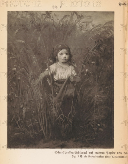 Photo reproduction of a painting, depicting a girl among bushes, reproduction, page,