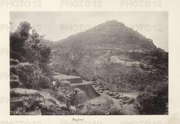 Rice fields, page, photomechanical print, inscription: 'Rizières', maker: Henry William Cave,