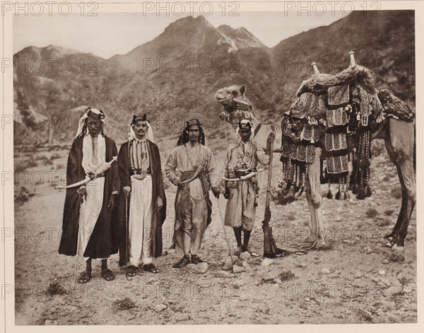 Das Reitkamel (Hèdjin) des Scherif Jahja, eines Sohnes des Scherif Ahmed, dessen Vater der beruhmte