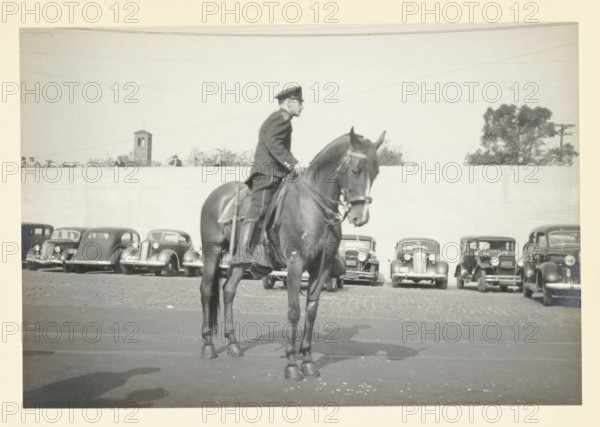Police officer on horseback, Hoboken pier, New York, United States, Traffic officer in front of the
