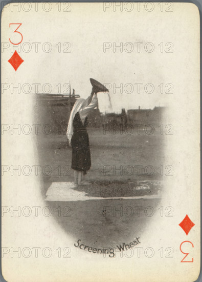 Screening Wheat, Three of Diamonds with woman separating wheat from chaff, photograph, playing