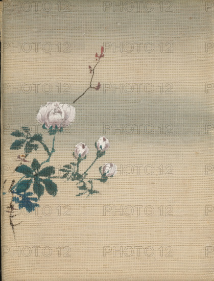 Photo album (empty), photograph album, slip-in album, Photo album in the shape of a leporello with