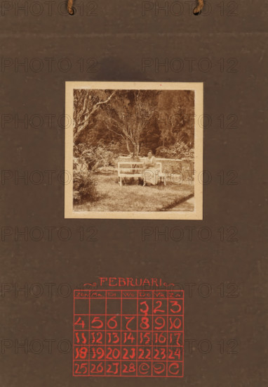 Woman with a cat in her arms on a white bench in a garden, album page, photograph, This photo is