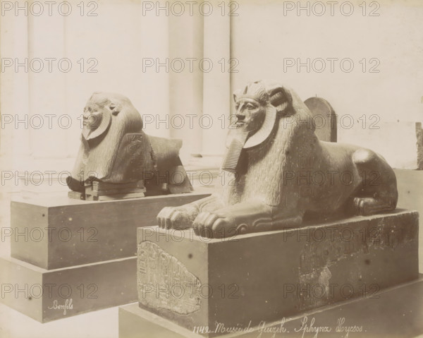 Two sphinxes in the Giza Museum, Musee de Guizeh - Sphynx Hycsos., photograph, Part of Travel Album