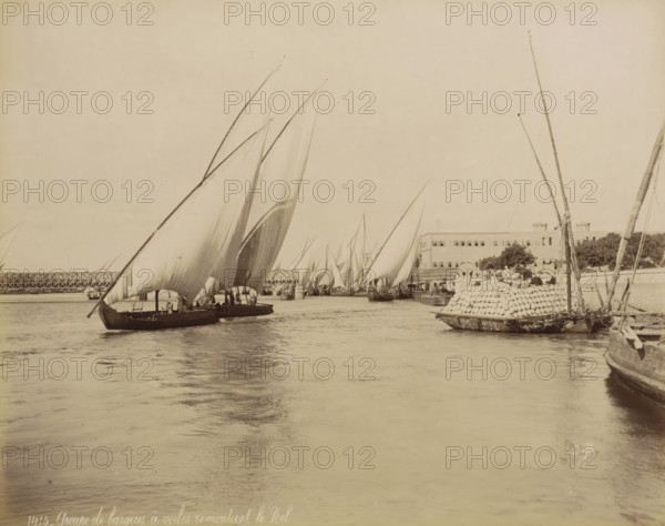 Sailing boats with cargo on the Nile, Group of sailing boats sailing up the Nile, photograph, Part