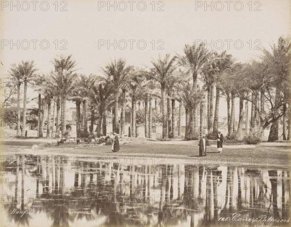 Men with a herd under the palm trees in Bedrechen near Cairo, Caire, Palmiers a Bedrechen,