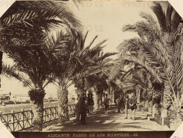 Alicante Paseo de los Mártires, Street view of Paseo de los Mártires de la Libertad in Alicante,