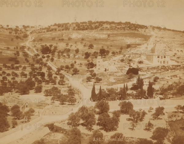 Mont des Oliviers, View of the Mount of Olives in Jerusalem, photograph, number: '292',