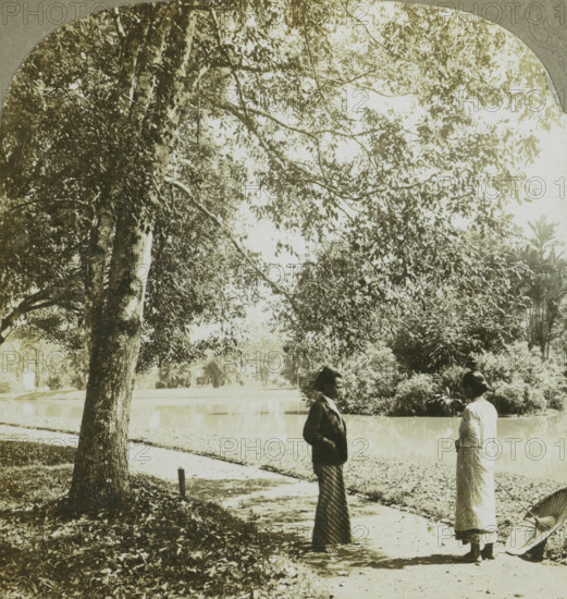 A vista in the Botanical Gardens. Buitenzorg, Java, Man and woman in the botanical garden of Bogor,