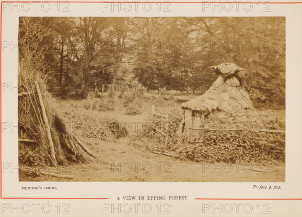 View in Epping Forest, A View in Epping Forest, photograph, page, photographer: Poulton, Epping
