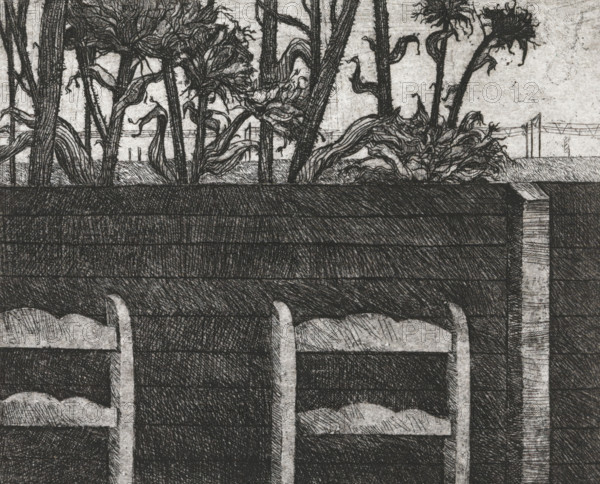 Chairs by fence, print, Backrests of chairs in front of a fence behind which sunflowers stand.,