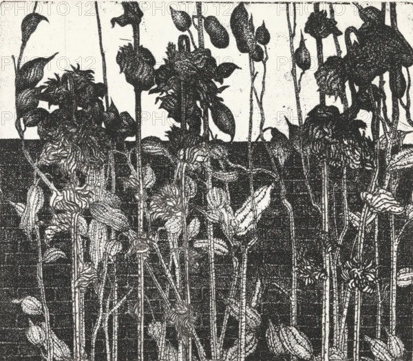 Vegetation in front of a wall, print, Vegetation in front of a wall., inscription: '1e STAAT',