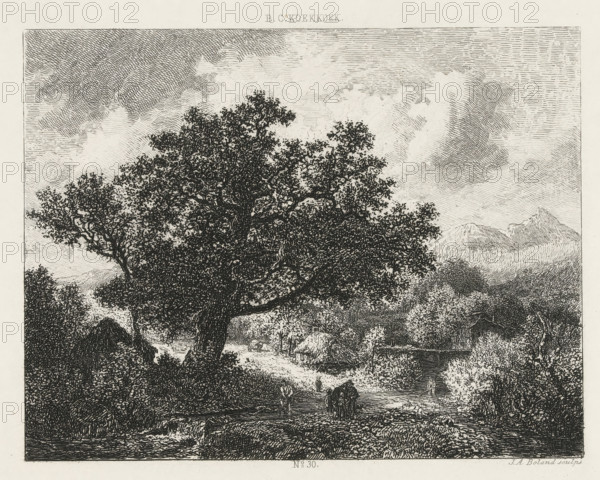 Landscape with a large tree by a brook, print, Series number, 30, printmaker: Johannes Arnoldus