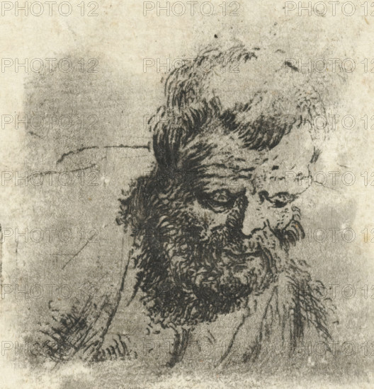 Head of an old man with a beard, print, printmaker: Dirck de Bray, Netherlands, 1645 - 1694, paper,
