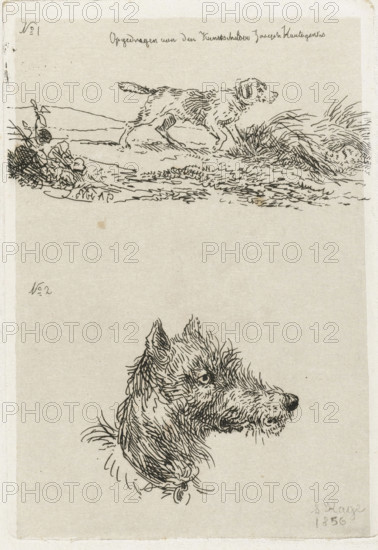 Dog's head and dog in landscape, print, printmaker: Guillaume Anne van der Brugghen, The Hague,