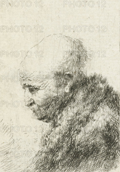 Bald headed man in profile right: small bust, the artist's father (?), print, printmaker, after