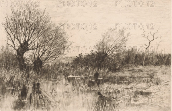 Pollarded willows by the water, A quiet spot (original title), print, printmaker: Geo Poggenbeek
