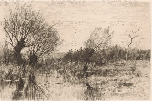 A quiet spot (original title on object), print, Pollard willows by the water., printmaker: Geo