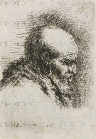 Portrait of an old man, print, An old bald man with a beard. Bust in profile to the right.,