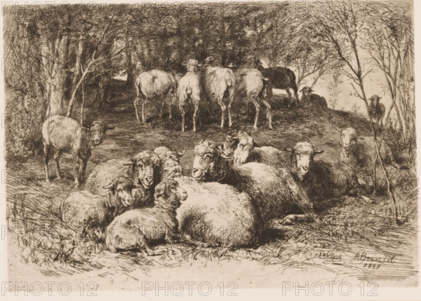 Sheep in a forest, print, printmaker: Albert Heinrich Brendel, Weimar, publisher: Weimarer