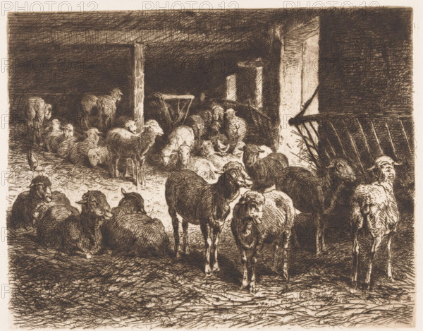 Sheep in a barn, print, printmaker: Albert Heinrich Brendel, Weimar, publisher: Weimarer