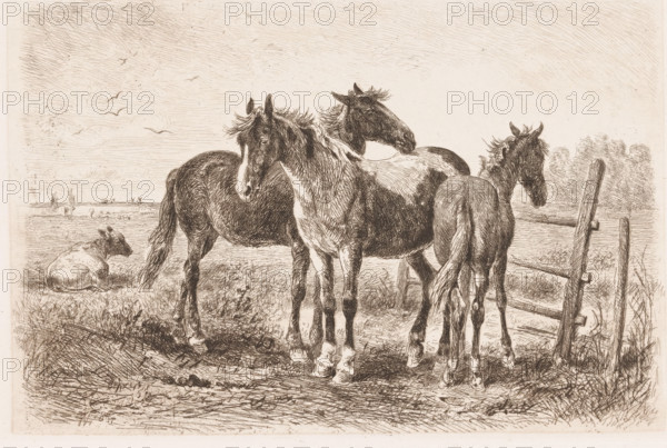 Three horses in a meadow, a cow in the background, print, printmaker: Albert Heinrich Brendel,