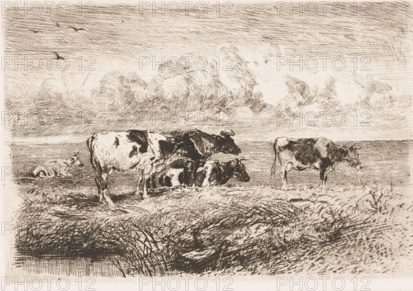 Cows in the meadow, print, printmaker: Albert Heinrich Brendel, Weimar, publisher: Weimarer