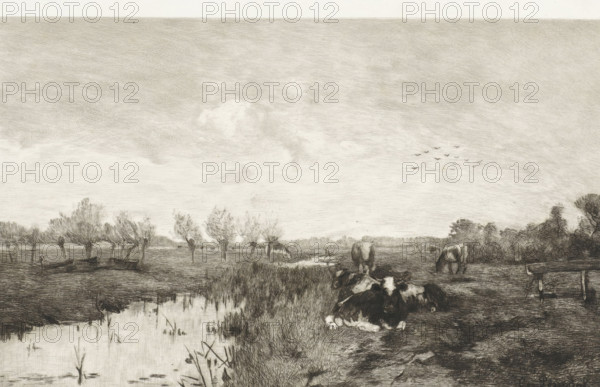 Calendar 1895, Polder landscape with cows, calendar, print, Cows are lying and standing in a meadow