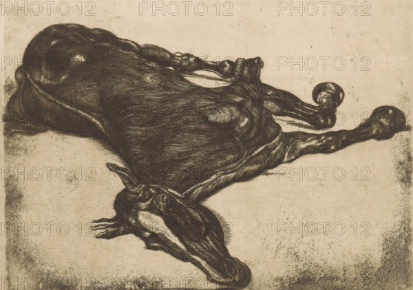 Dead horse, print, printmaker: Pieter Dupont, Paris, 1900, paper, etching, intaglio printmaking