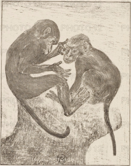 Two flea monkeys, print, printmaker: Theo van Hoytema (signed by artist), 1878 - 1914, paper, chine