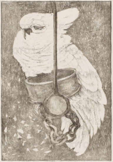 White cockatoo, print, A cockatoo on a chain on a stick., signature: 'Theov Hoytema', printmaker: